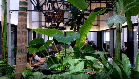 Đi làm ở văn phòng trong suốt - Ảnh 8. Đi làm ở văn phòng trong suốt - Ảnh 8.