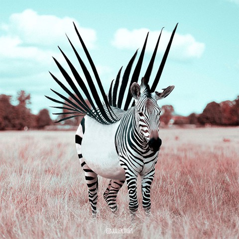 Động vật trong mắt thánh photoshop - Ảnh 5. Động vật trong mắt thánh photoshop - Ảnh 5.