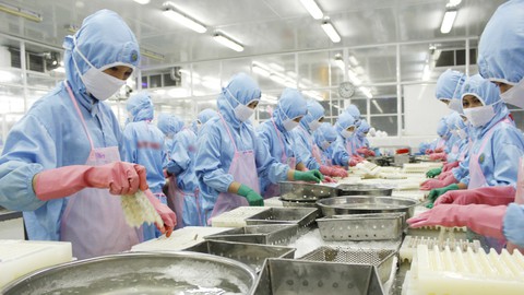 Giá tăng, thị trường xuất khẩu tôm có nhiều thuận lợi - Ảnh 1. Giá tăng, thị trường xuất khẩu tôm có nhiều thuận lợi - Ảnh 1.