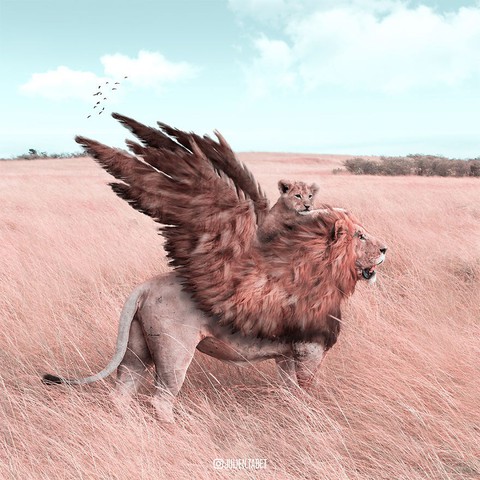 Động vật trong mắt thánh photoshop - Ảnh 8. Động vật trong mắt thánh photoshop - Ảnh 8.