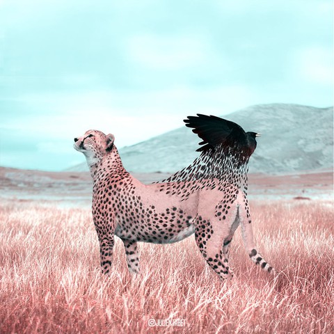 Động vật trong mắt thánh photoshop - Ảnh 11. Động vật trong mắt thánh photoshop - Ảnh 11.