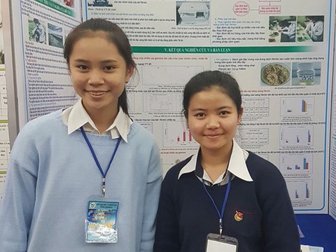 Hai nữ sinh chế tạo thành công màng phủ bảo quản dâu tây từ kén tơ tằm - Ảnh 1. Hai nữ sinh chế tạo thành công màng phủ bảo quản dâu tây từ kén tơ tằm - Ảnh 1.
