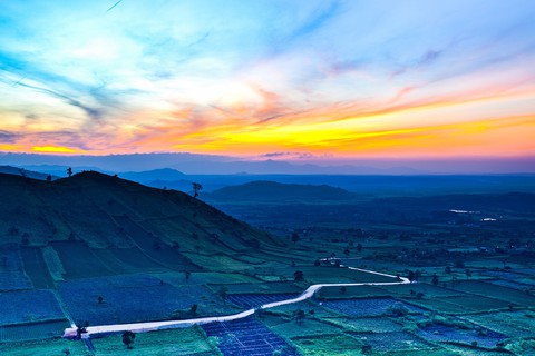 Thảm dã quỳ trên núi lửa Chư Đăng Ya hùng vĩ - Ảnh 1. Thảm dã quỳ trên núi lửa Chư Đăng Ya hùng vĩ - Ảnh 1.