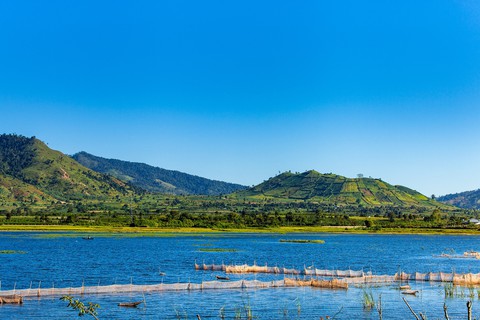 Thảm dã quỳ trên núi lửa Chư Đăng Ya hùng vĩ - Ảnh 14. Thảm dã quỳ trên núi lửa Chư Đăng Ya hùng vĩ - Ảnh 14.