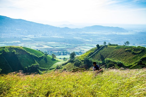 Thảm dã quỳ trên núi lửa Chư Đăng Ya hùng vĩ - Ảnh 5. Thảm dã quỳ trên núi lửa Chư Đăng Ya hùng vĩ - Ảnh 5.