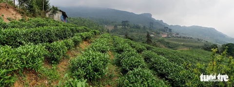 Vẻ đẹp hùng vĩ của non nước Cao Bằng - Ảnh 18. Vẻ đẹp hùng vĩ của non nước Cao Bằng - Ảnh 18.