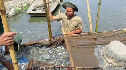 Tử huyệt nguồn nước sông Mekong - Ảnh 2. Tử huyệt nguồn nước sông Mekong - Ảnh 2.