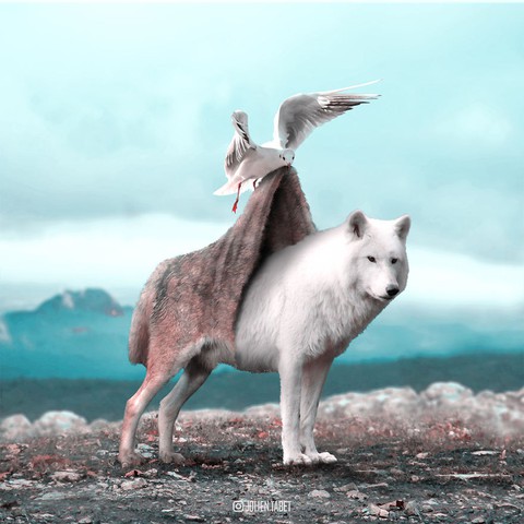 Động vật trong mắt thánh photoshop - Ảnh 13. Động vật trong mắt thánh photoshop - Ảnh 13.