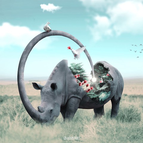 Động vật trong mắt thánh photoshop - Ảnh 3. Động vật trong mắt thánh photoshop - Ảnh 3.