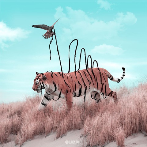 Động vật trong mắt thánh photoshop - Ảnh 14. Động vật trong mắt thánh photoshop - Ảnh 14.