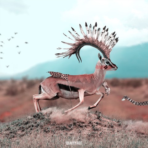 Động vật trong mắt thánh photoshop - Ảnh 15. Động vật trong mắt thánh photoshop - Ảnh 15.