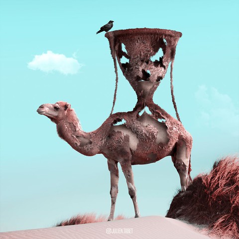 Động vật trong mắt thánh photoshop - Ảnh 16. Động vật trong mắt thánh photoshop - Ảnh 16.