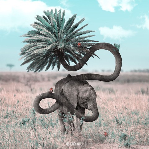 Động vật trong mắt thánh photoshop - Ảnh 17. Động vật trong mắt thánh photoshop - Ảnh 17.