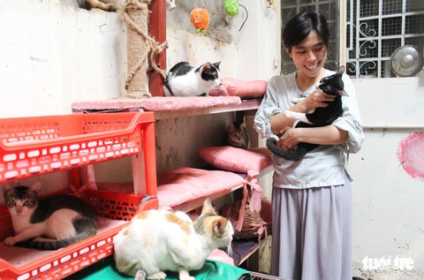 Con nhỏ giải cứu chó mèo! - Ảnh 5. Con nhỏ giải cứu chó mèo! - Ảnh 5.