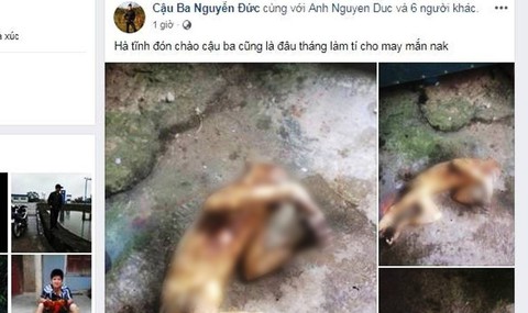 Thêm vụ giết khỉ khoe Facebook gây phẫn nộ - Ảnh 1. Thêm vụ giết khỉ khoe Facebook gây phẫn nộ - Ảnh 1.