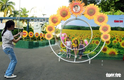 Ngày hội hoa hướng dương Ước mơ của Thúy đã sẵn sàng! - Ảnh 6. Ngày hội hoa hướng dương Ước mơ của Thúy đã sẵn sàng! - Ảnh 6.