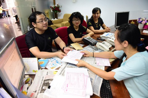 Ngày hội hoa hướng dương Ước mơ của Thúy đã sẵn sàng! - Ảnh 2. Ngày hội hoa hướng dương Ước mơ của Thúy đã sẵn sàng! - Ảnh 2.