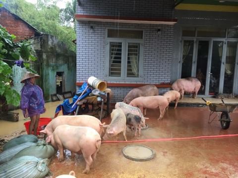 Quốc lộ 1 qua Quảng Nam tê liệt, Quân khu 5 huy động lực lượng cứu dân - Ảnh 6. Quốc lộ 1 qua Quảng Nam tê liệt, Quân khu 5 huy động lực lượng cứu dân - Ảnh 6.
