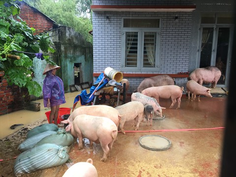Khả năng chưa thể thông quốc lộ 1 trong đêm 10-12-2018 - Ảnh 4. Khả năng chưa thể thông quốc lộ 1 trong đêm 10-12-2018 - Ảnh 4.