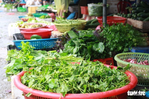 Sau mưa lũ, rau xanh Đà Nẵng tăng giá chóng mặt - Ảnh 3. Sau mưa lũ, rau xanh Đà Nẵng tăng giá chóng mặt - Ảnh 3.