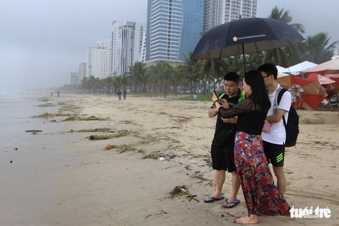 Sinh vật biển theo rác thải trôi dày đặc trên bãi biển Đà Nẵng - Ảnh 6. Sinh vật biển theo rác thải trôi dày đặc trên bãi biển Đà Nẵng - Ảnh 6.