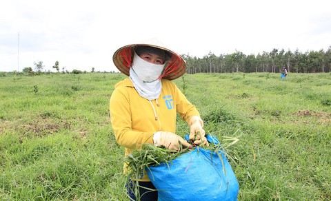 Chặn dòng di dân tự do: giải pháp nào? - Ảnh 4. Chặn dòng di dân tự do: giải pháp nào? - Ảnh 4.