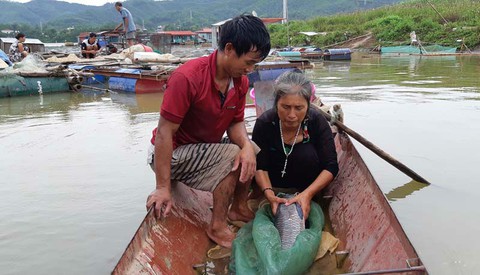 Sắp công bố thương hiệu “Tôm và Cá sông Đà Hòa Bình” - Ảnh 1. Sắp công bố thương hiệu “Tôm và Cá sông Đà Hòa Bình” - Ảnh 1.