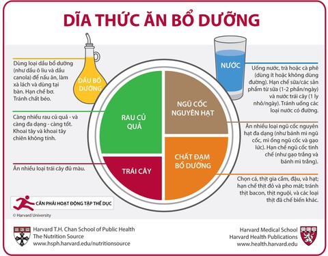Dĩa thức ăn bổ dưỡng của chuyên gia dinh dưỡng Harvard - Ảnh 1. Dĩa thức ăn bổ dưỡng của chuyên gia dinh dưỡng Harvard - Ảnh 1.