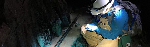 Có tới 15-23 tỉ tấn vi sinh vật dưới mặt đất - Ảnh 3. Có tới 15-23 tỉ tấn vi sinh vật dưới mặt đất - Ảnh 3.