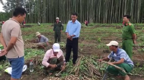 Dừng giao khoán đất rừng, đặc cách đầu tư - Ảnh 3. Dừng giao khoán đất rừng, đặc cách đầu tư - Ảnh 3.