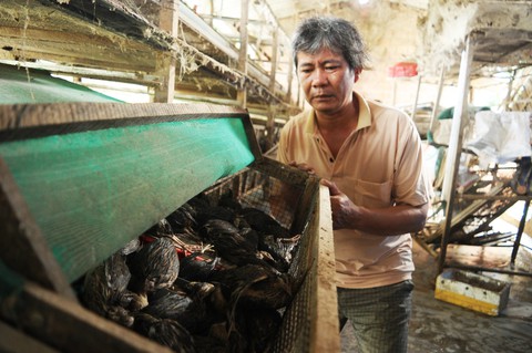 Dân khóc nghẹn nhìn gà vịt chết chìm trong nước - Ảnh 14. Dân khóc nghẹn nhìn gà vịt chết chìm trong nước - Ảnh 14.