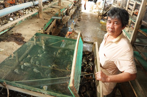 Dân khóc nghẹn nhìn gà vịt chết chìm trong nước - Ảnh 12. Dân khóc nghẹn nhìn gà vịt chết chìm trong nước - Ảnh 12.