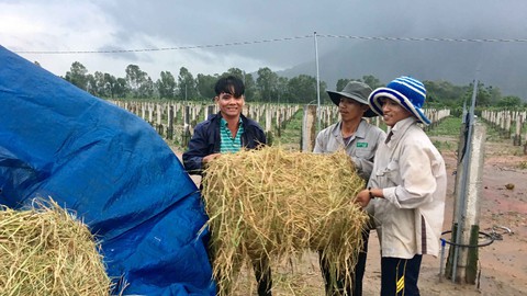 Ra tù làm lại cuộc đời - kỳ 7: Tỉ phú thanh long - Ảnh 1. Ra tù làm lại cuộc đời - kỳ 7: Tỉ phú thanh long - Ảnh 1.