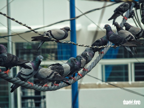 Những hình ảnh khó tin về một chung cư mà người ở vẫn cứ muốn ở - Ảnh 12. Những hình ảnh khó tin về một chung cư mà người ở vẫn cứ muốn ở - Ảnh 12.