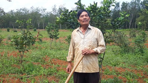 Oan khiên lao lý, lỡ dở phận đời một doanh nhân chân đất - Ảnh 2. Oan khiên lao lý, lỡ dở phận đời một doanh nhân chân đất - Ảnh 2.