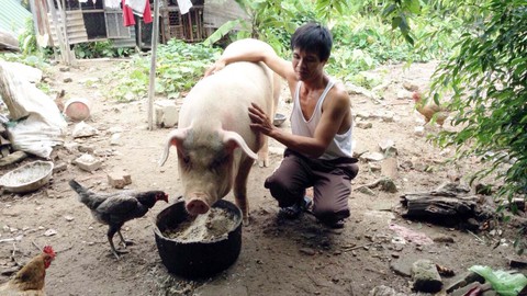 Ra tù làm lại cuộc đời - kỳ cuối: Đứng dậy để giúp người khác - Ảnh 1. Ra tù làm lại cuộc đời - kỳ cuối: Đứng dậy để giúp người khác - Ảnh 1.