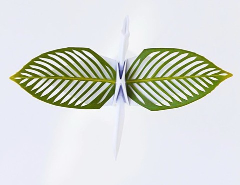 Ngắm những chú hạc giấy origami đẹp ngỡ ngàng - Ảnh 8. Ngắm những chú hạc giấy origami đẹp ngỡ ngàng - Ảnh 8.