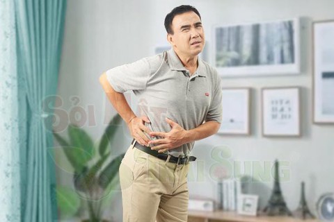 Sỏi mật trái sung: giải pháp hỗ trợ điều trị sỏi mật - Ảnh 1. Sỏi mật trái sung: giải pháp hỗ trợ điều trị sỏi mật - Ảnh 1.
