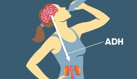 Bệnh đái tháo nhạt là gì? - Ảnh 1. Bệnh đái tháo nhạt là gì? - Ảnh 1.