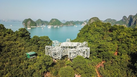 Bảo tàng tự nhiên giữa vịnh Hạ Long - Ảnh 1. Bảo tàng tự nhiên giữa vịnh Hạ Long - Ảnh 1.