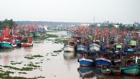 Lời thề Hippocrates trước biển - Ảnh 1. Lời thề Hippocrates trước biển - Ảnh 1.