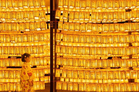 Phật tử cầu nguyện vào top 70 ảnh đẹp nhất năm của NatGeo - Ảnh 8. Phật tử cầu nguyện vào top 70 ảnh đẹp nhất năm của NatGeo - Ảnh 8.