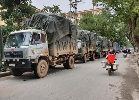Phá vụ buôn lậu lớn, thu giữ 100 tấn hàng - Ảnh 3. Phá vụ buôn lậu lớn, thu giữ 100 tấn hàng - Ảnh 3.