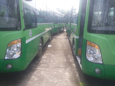 Đầu tư tiền chục tỉ, nhiều xe buýt trùm mền cả năm - Ảnh 1. Đầu tư tiền chục tỉ, nhiều xe buýt trùm mền cả năm - Ảnh 1.