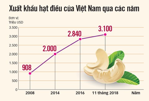 1216-xuat khau hat dieu-tto 1216-xuat khau hat dieu-tto