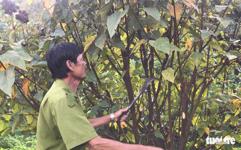 Về nơi lèn đá tỉa bắp, khơi dòng nước - Ảnh 4. Về nơi lèn đá tỉa bắp, khơi dòng nước - Ảnh 4.