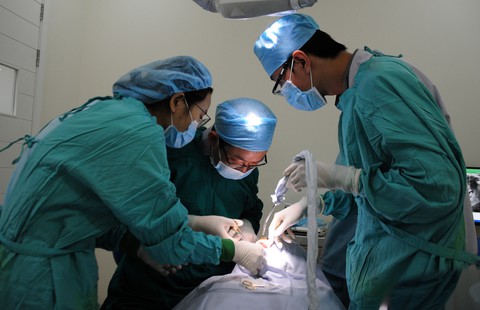 Mất một răng nên làm cầu răng sứ hay trồng răng implant? - Ảnh 4. Mất một răng nên làm cầu răng sứ hay trồng răng implant? - Ảnh 4.