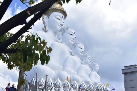 Tháng 12, Chiang Mai rực rỡ mùa hoa anh đào - Ảnh 2. Tháng 12, Chiang Mai rực rỡ mùa hoa anh đào - Ảnh 2.