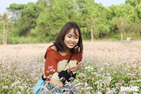 Cánh đồng hoa tam giác mạch ở Hà Nội hút giới trẻ đến check-in - Ảnh 7. Cánh đồng hoa tam giác mạch ở Hà Nội hút giới trẻ đến check-in - Ảnh 7.