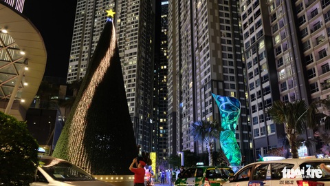 Ngắm thông Noel rực rỡ phố Sài Gòn - Ảnh 2. Ngắm thông Noel rực rỡ phố Sài Gòn - Ảnh 2.